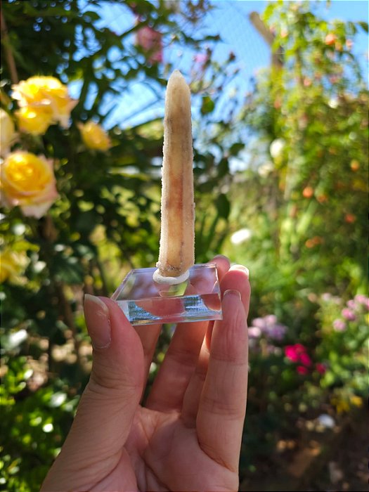 Fairy Quartz - Quartzo Fada