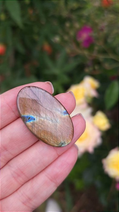 Cabochão de Labradorita