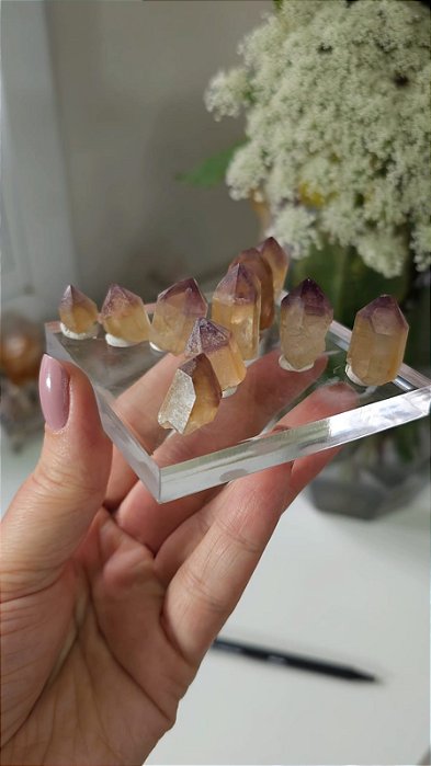 Lote Casaco dos Sonhos 10 und