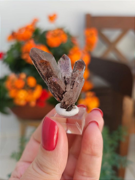 Drusa Autocurada Coberta de Hematita