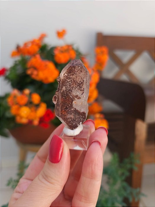 Mestre Biterminado Ísis Coberta de Hematita