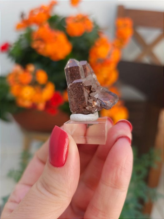 Drusa Coberta de Hematita