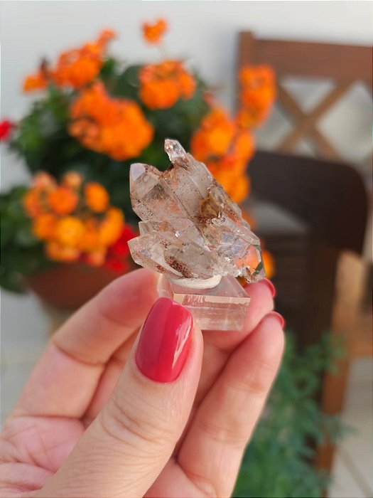 Drusa Autocurada Coberta de Hematita