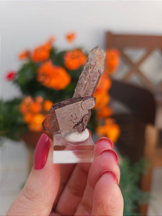 Quartzo Curvo Coberto de Hematita