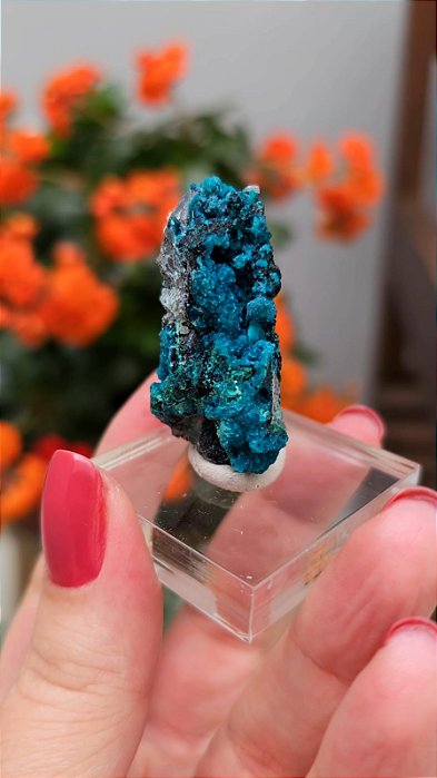 Crisocola no Quartzo