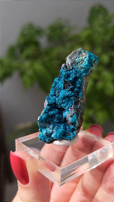 Crisocola no Quartzo