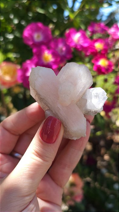 Drusa de Estilbita com Apofilita