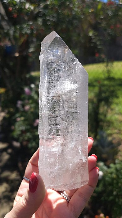 Mestre Lemuriano Manifestador e Agregador