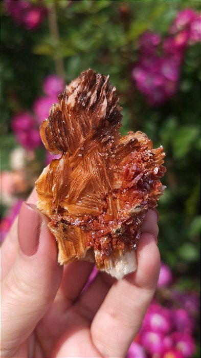 Barita com Vanadinita