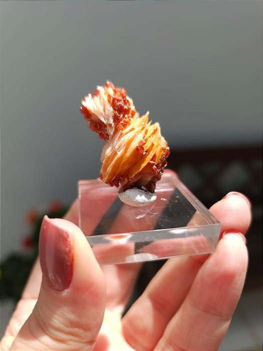 Barita com Vanadinita