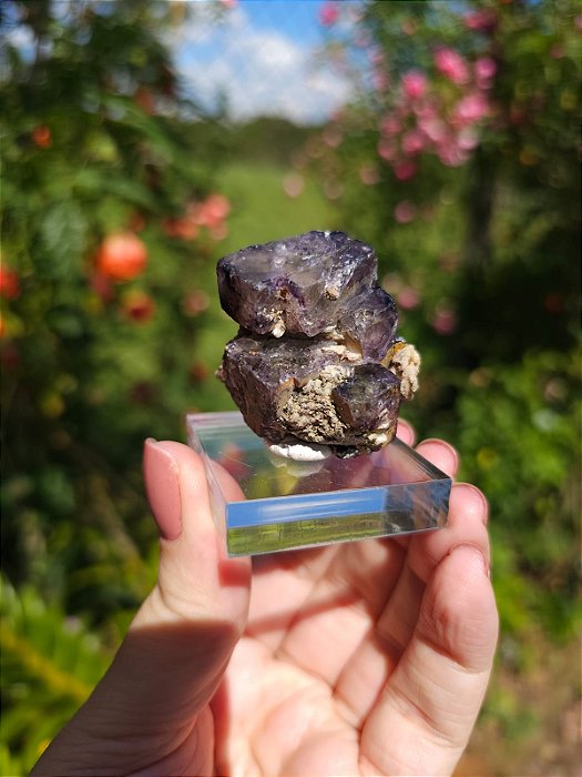 Fluorita Roxa Cubica