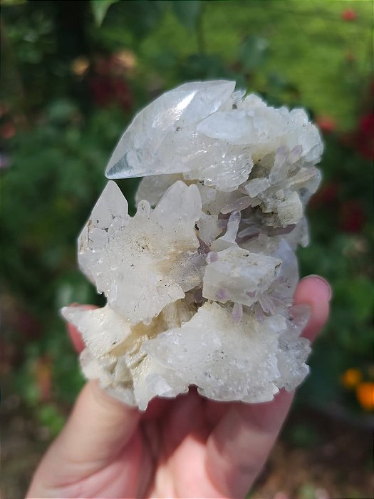 Calcita Raio Estelar