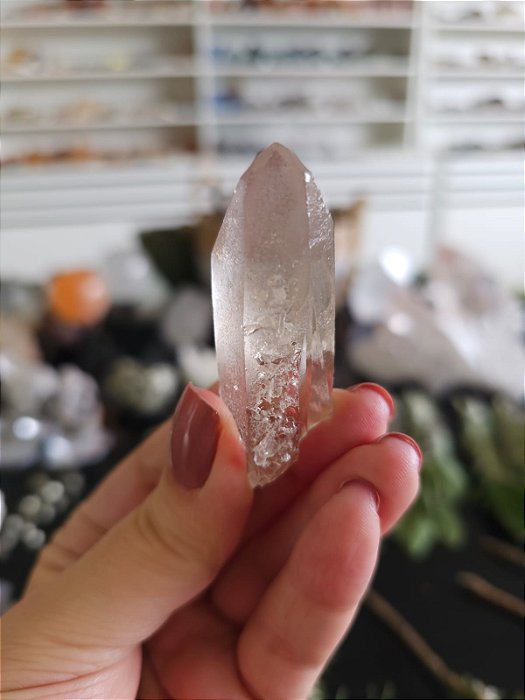 Mestre Semente Estelar e Elo do Tempo Passado