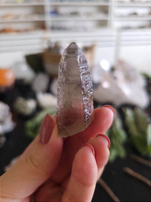 Mestre Semente Estelar e Lemuriano