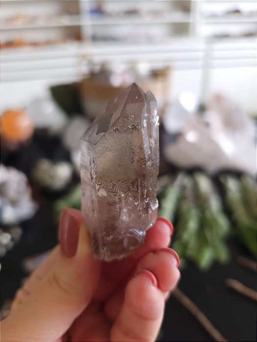 Mestre Gêmeo Tântrico e Elo do Tempo Passado