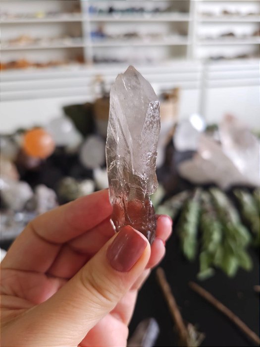 Mestre Imprint e Gravado