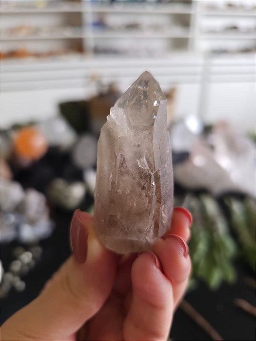 Mestre Catedral Ísis