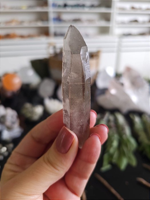 Mestre Semente Estelar Ísis