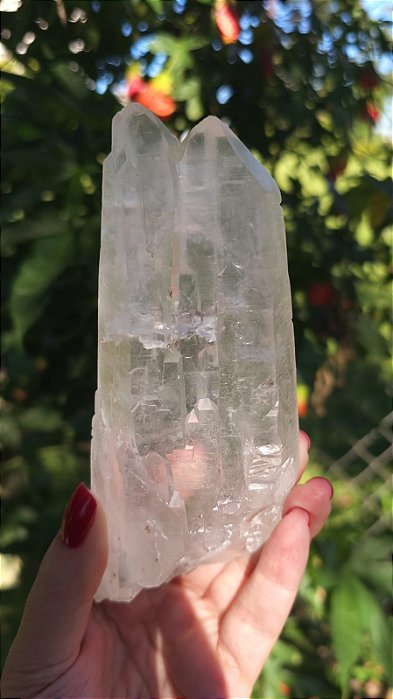 Mestre Catedral Biterminado