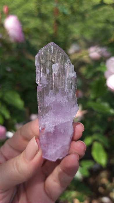 Kunzita ( garimpo do Paquistão)