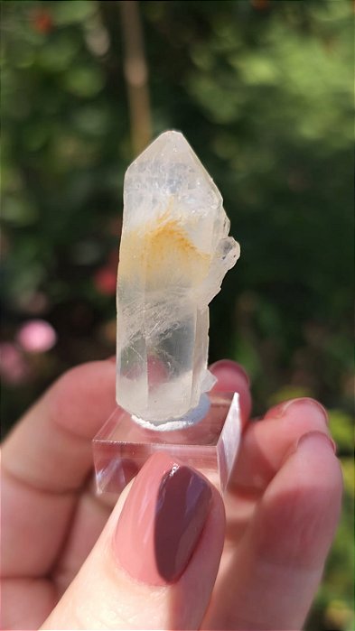 Quartzo Mango Autocurado