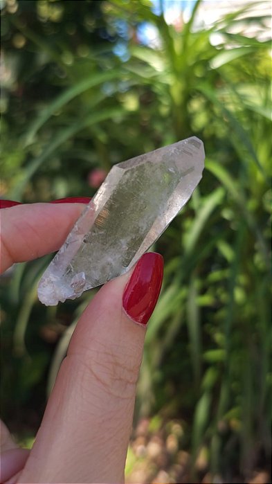 Mestre Elo do Tempo Passado e Futuro