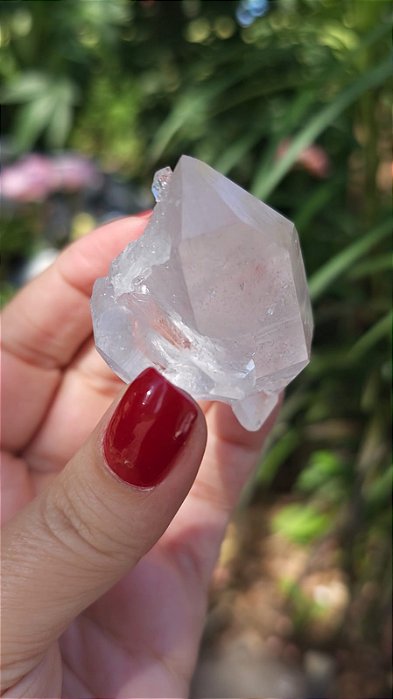 Mestre Biterminado com Arco-Íris