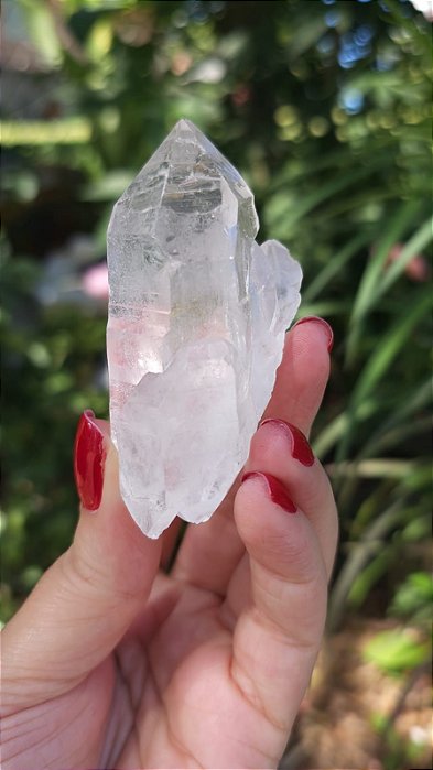 Mestre Ísis Gravada e Autocurada