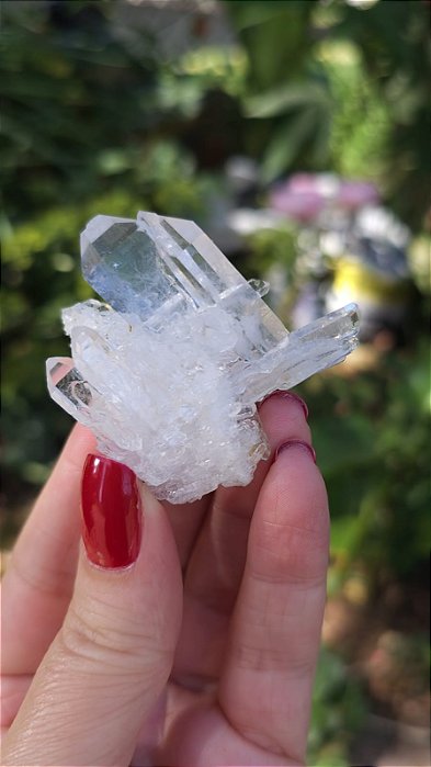 Drusa de Quartzo Translúcido