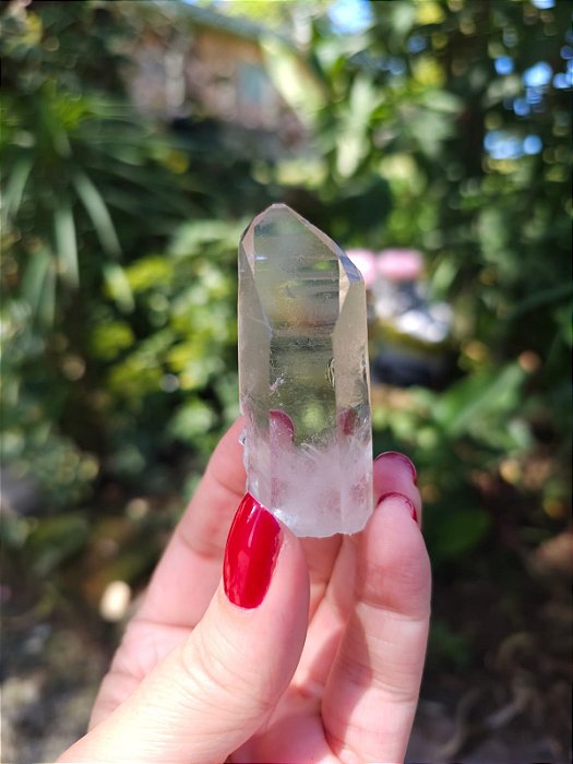 Golden Healer Gravado