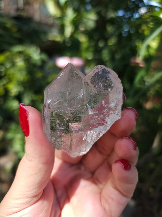 Mestre Gêmeo Tântrico