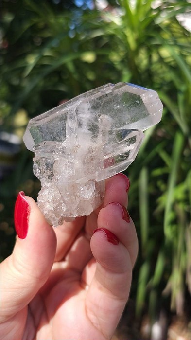 Mestre Faden e Manifestador