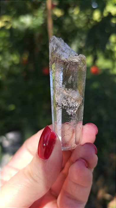 Quartzo com Rutilos Grafite