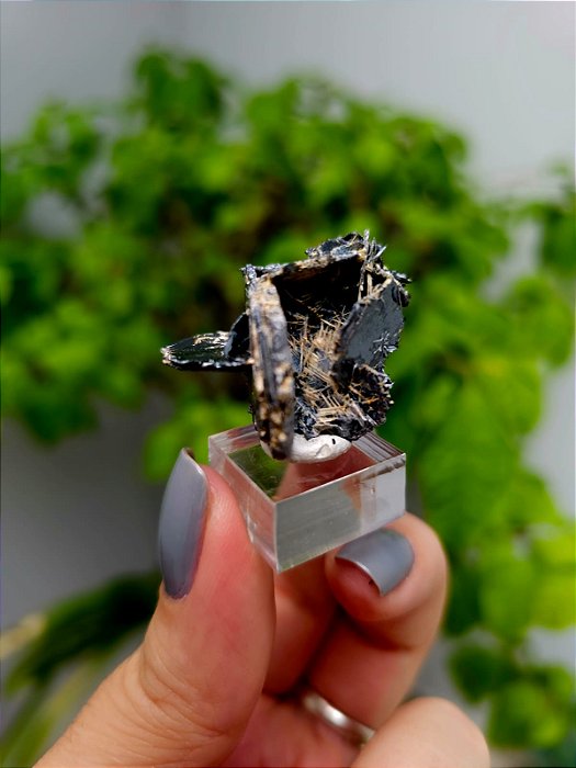 Hematita Especular com Rutilos