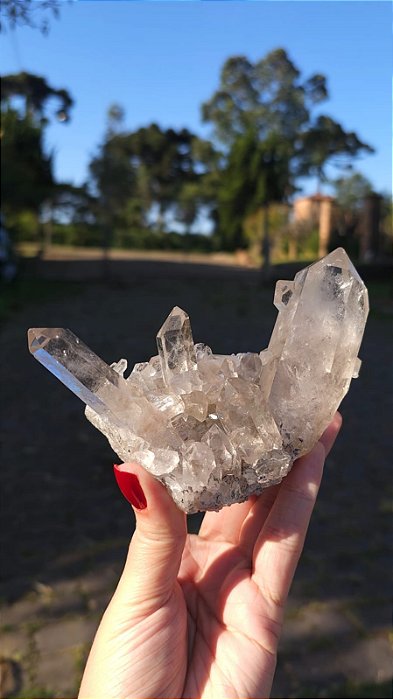 Drusa Quartzo com Rutilos Dourados e Ísis