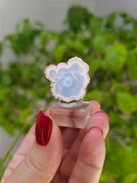 Estalactites Celestro Baritina