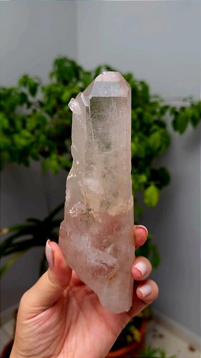 Mestre Janela da Alma, Arquivista, Gravado e Manifestador