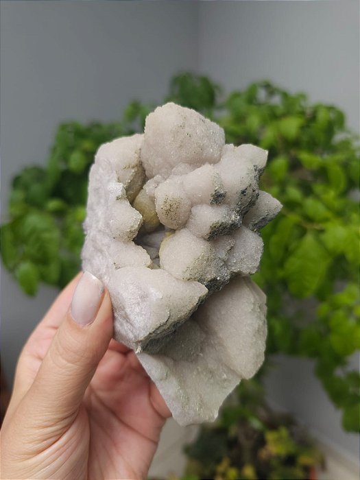 Formação Flor de Lótus (Quartzo Pseudomorfo após Calcita)