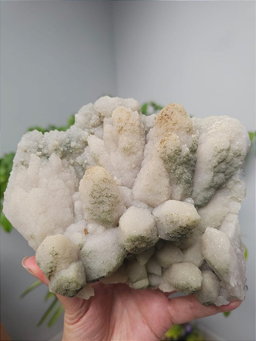 Formação Flor de Lótus (Quartzo Pseudomorfo após Calcita)