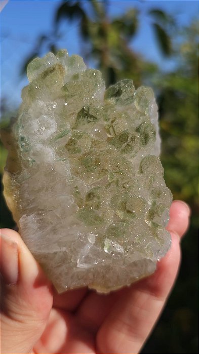 Drusa com Sugar Verde