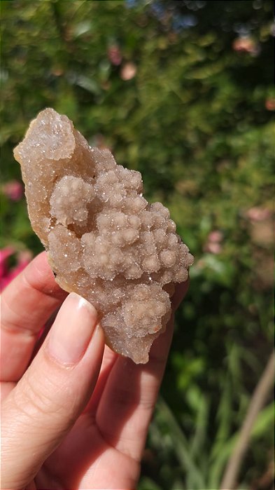 Calcedônia Botrioidal Sugar