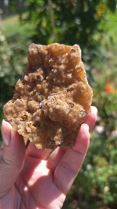 Calcedônia Dourada Sugar