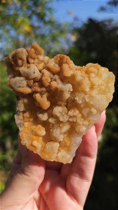 Calcedônia Dourada Sugar