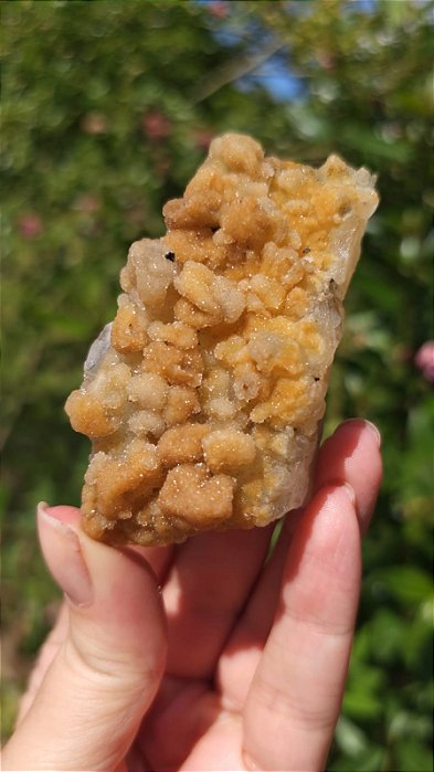 Calcedônia Dourada Sugar