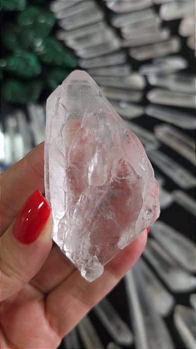 Mestre Intraterreno e Arquivista