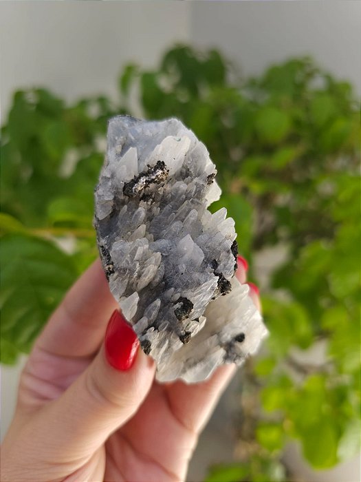 Drusa Calcita Raio Estelar