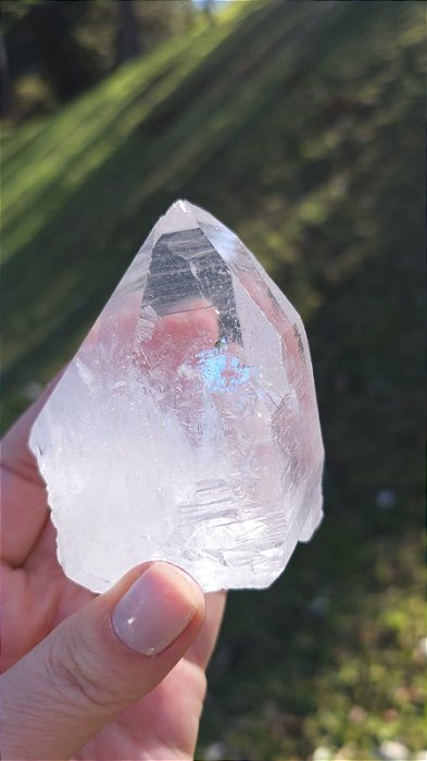 Mestre Autocurado Arquivista com Arco-Íris