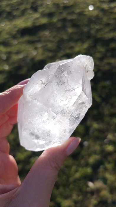 Mestre Biterminado Agregador