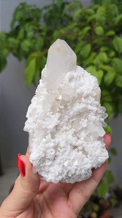 Drusa de Quartzo com Albita