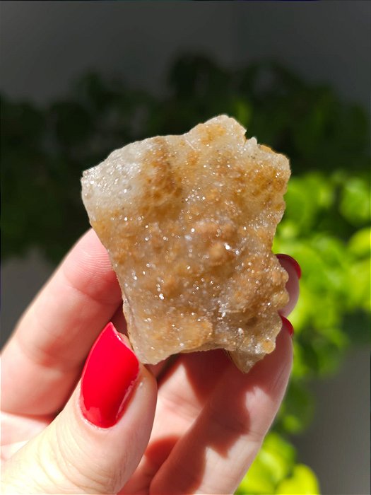 Calcedônia Sugar Dourada